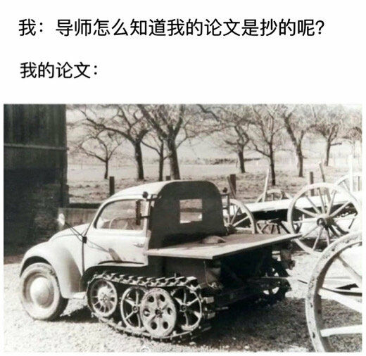 【每日图一乐】鸽了两周的我回来啦 — 第 19 张