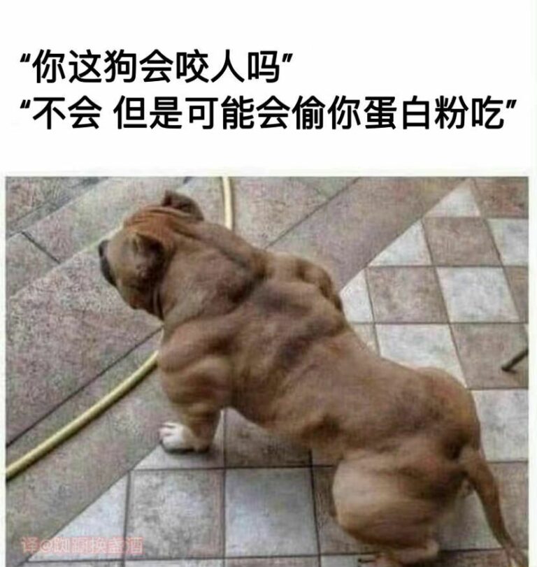 【每日图一乐】给予女拳崇高的制裁吧 — 第 15 张