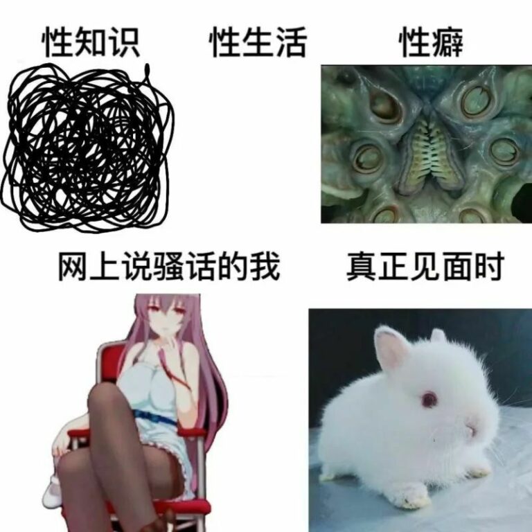 【每日图一乐】话说闭站前打算发三百张但是没发出来…… — 第 27 张