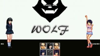 【ACT/FTG】像素格斗 WOLF～エッチなアップデート型格闘ゲーム 全DLC【度盘、秒链】