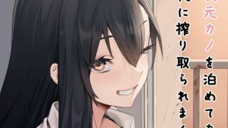 【同人志/フグタ家/ほっけうるふ】短篇合集【度盘/158MB】