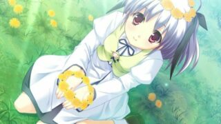 【ADV/汉化】【010】实妹相伴的大泉君【PC/度盘】