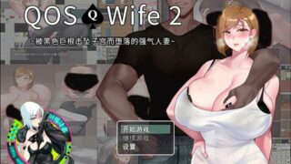 【RPG/官中】QOSWife2：被黑色巨物击坠的强气忍妻 官方中文版【度云/500M】