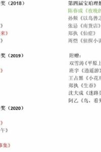 【书籍】宝珀理想国文学奖2018—2021【epub】【度盘】