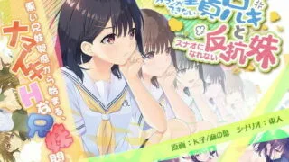 【RPG/SLG/更新DLC】童貞兄妹 ガマンができない童貞アニキとスナ..APPEND1+2【2G/秒传】