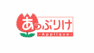 【GAL／Applique／合集】游戏品牌（Applique／あっぷりけ）汉化合集【秒传／17.4GB】