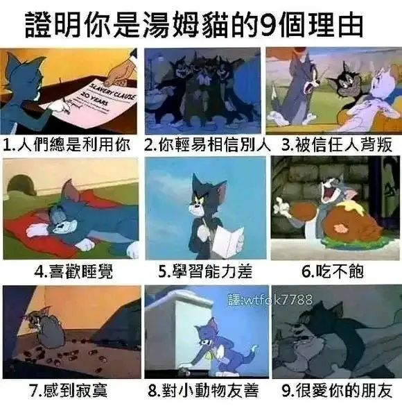 【每日图一乐】这就是久违的图一乐吗 — 第 21 张