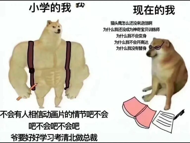【每日图一乐】这就是久违的图一乐吗 — 第 33 张