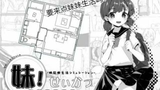 【互动SLG/中文/动态】妹妹同居生活 Ver2.03 官方中文步兵最终版+存档【PC/600M/秒传/微云】补档