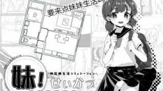【互动SLG/中文/动态】妹妹同居生活 Ver2.03 官方中文步兵最终版+存档【PC/600M/秒传/微云】补档