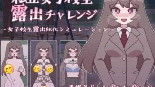 【像素风】像素风小游戏4部合集 第2弹【300M】