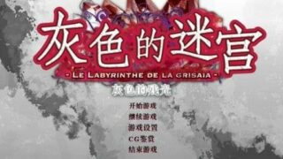 【GAL/PC】灰色的残光【度盘云盘/650M】