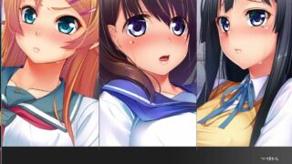 【SLG/PC】おいしゃさんレイパーA+【度盘】