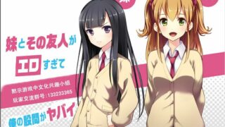 【ADV拔作/汉化】 妹妹与友人与我的日常 PC/安卓模拟精翻汉化版 [500M]【度盘/秒传】