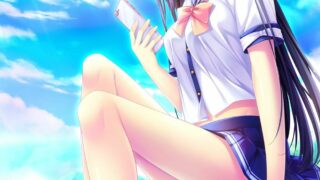 【官中/Gal】天空的蓝与白/如梭夏日【秒传】