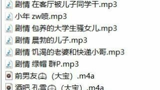 【中文R18音声】大宝10部