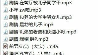 【中文R18音声】大宝10部