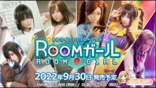 【PC】职场少女|中文|V1.1.221+全DLC+特典+额外内容【度盘/秒传/解压后21.4GB】