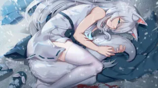 【游戏】与狐妖的同居生活【度盘】