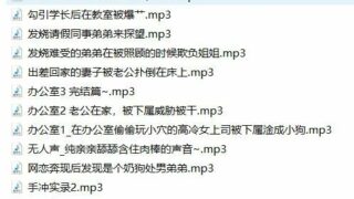 【中文R18音声】rainnight雨20部【度盘】