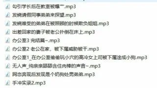 【中文R18音声】rainnight雨20部【度盘】