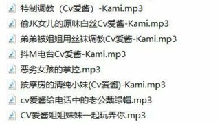 【中文R18音声】爱酱16部（足控，M向）【度盘】
