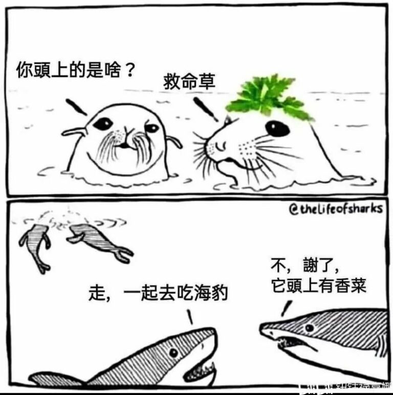 【每日图一乐】今天是冬至，让我们一起包！饺！砸！ — 第 72 张
