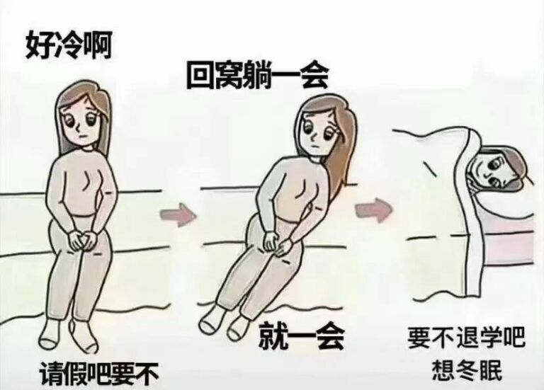 【每日图一乐】今天是冬至，让我们一起包！饺！砸！ — 第 9 张
