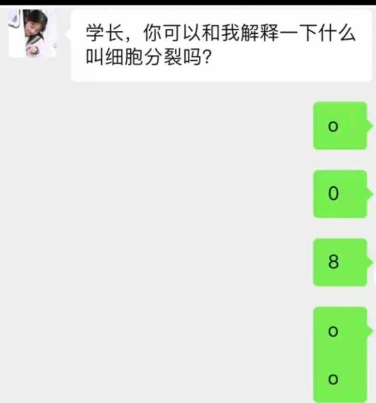 【每月图一乐】因为懒得发所以变成一月一次的啦 — 第 9 张