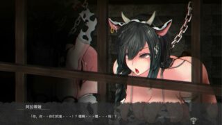 【ACT】魔女复仇之夜1.07完全汉化版【度盘】【2G】
