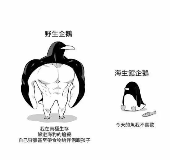 【每日图一乐】你们可别在这里罚点 — 第 45 张