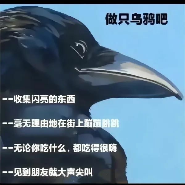 【每日图一乐】今天是冬至，让我们一起包！饺！砸！ — 第 40 张