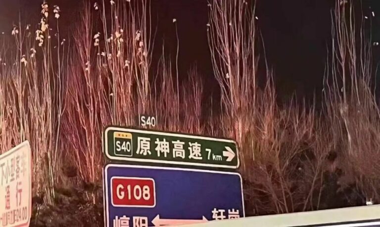 【每日图一乐】虽然已经过了但还是祝大家圣诞快乐 — 第 69 张