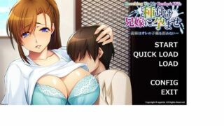 【ADV/新作/机翻】让我哥哥的妻子怀孕/Knocking up my brother's wife【550M/BD/秒传】