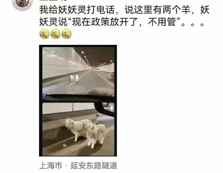 【每日图一乐】虽然已经过了但还是祝大家圣诞快乐 — 第 2 张