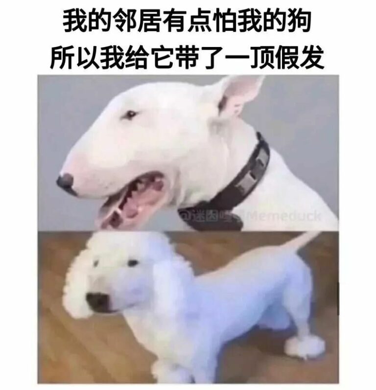 【每日图一乐】今天是冬至，让我们一起包！饺！砸！ — 第 1 张