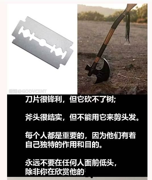 【每日图一乐】虽然已经过了但还是祝大家圣诞快乐 — 第 65 张