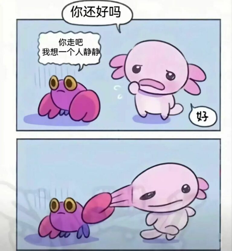 【每日图一乐】虽然已经过了但还是祝大家圣诞快乐 — 第 42 张