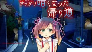 【安卓直装/2D/RPG/漢化】少女~深夜回家的路雙端漢化版【800M】