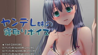 【汉化ASMR】ヤンデレ妹の寝取りボイス【RJ184237】【度盘】【mp3】