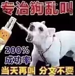 【每月图一乐】因为懒得发所以变成一月一次的啦 — 第 59 张