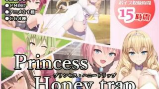 【RPG/生肉/全回想】プリンセス・ハニートラップ【度盘/秒传】