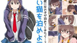 【2D/动态】【ナイトホーク】42部游戏合集【11G/秒传】