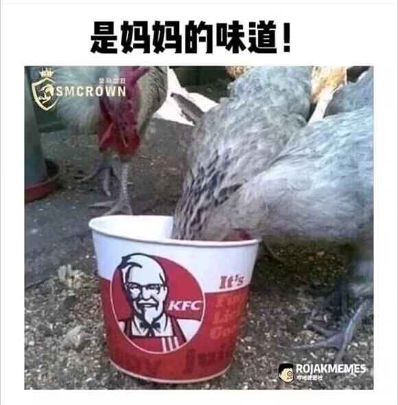 【每月图一乐】因为懒得发所以变成一月一次的啦 — 第 35 张