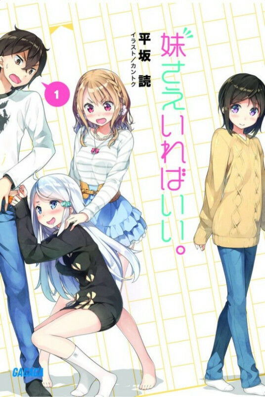 【轻小说】如果有妹妹就好了 1~12 已完结 【93M/度盘】 — 第 1 张 【轻小说】如果有妹妹就好了 1~12 已完结 【93M/度盘】 — 第 1 张