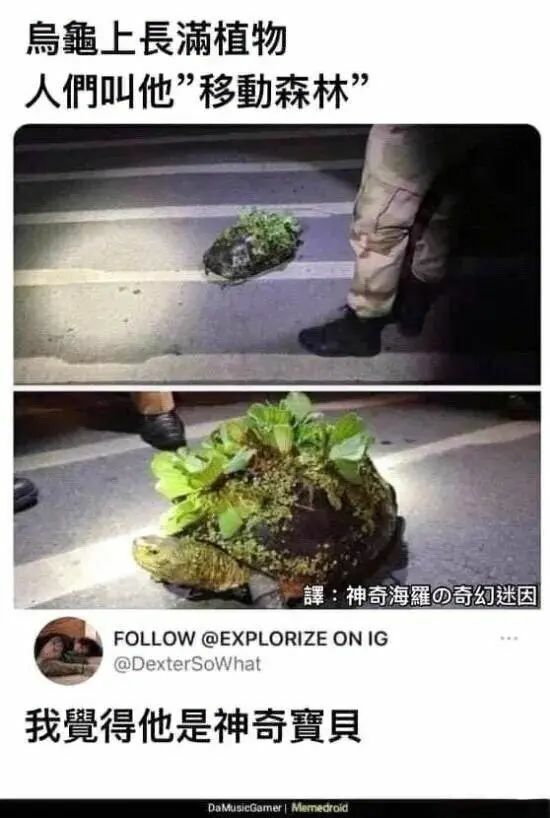【每日图一乐】感觉不如…… — 第 114 张