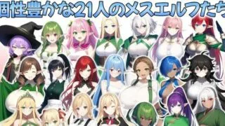 【RPG/机翻】流浪到只有女性的精灵村~必须全员怀运才能离开【1G/度盘】