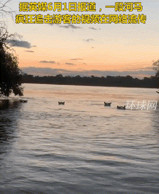 【每日图一乐】浏览量太低就会让人失去干活的动力 — 第 36 张