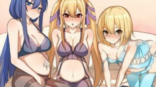 【RPG】少女的花蕾Ver3.0.4~官方中文版+画廊解锁+攻略【度盘】