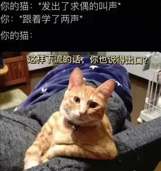 【每日图一乐】感觉不如…… — 第 90 张